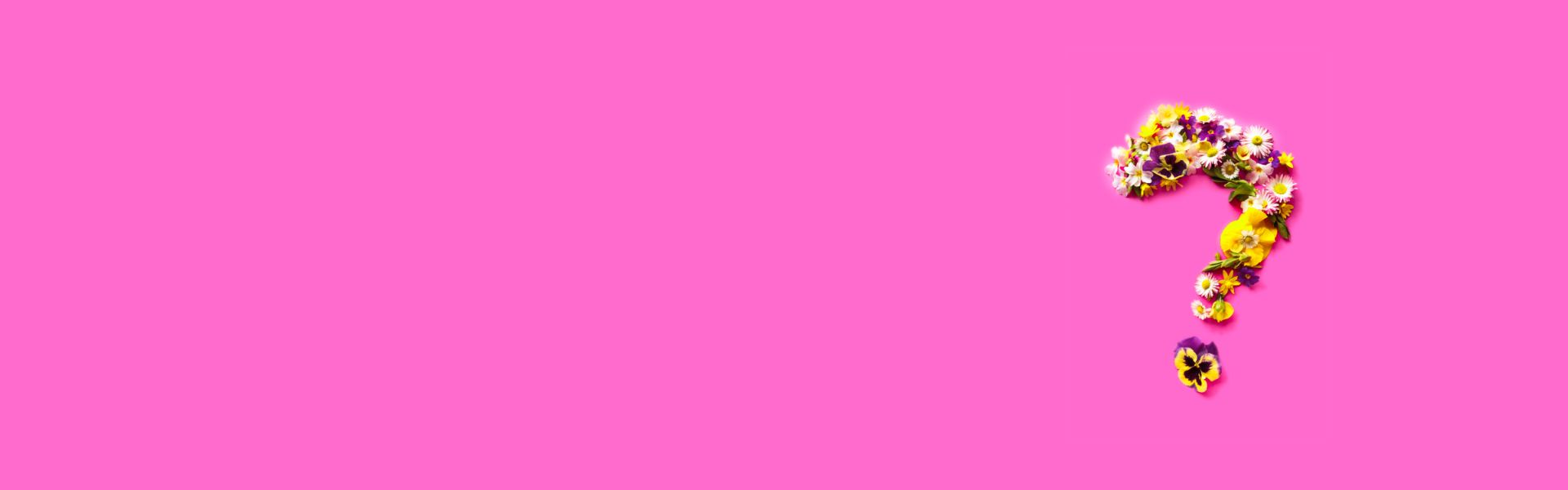 STUDIO LEVATRICE SLIDER faq